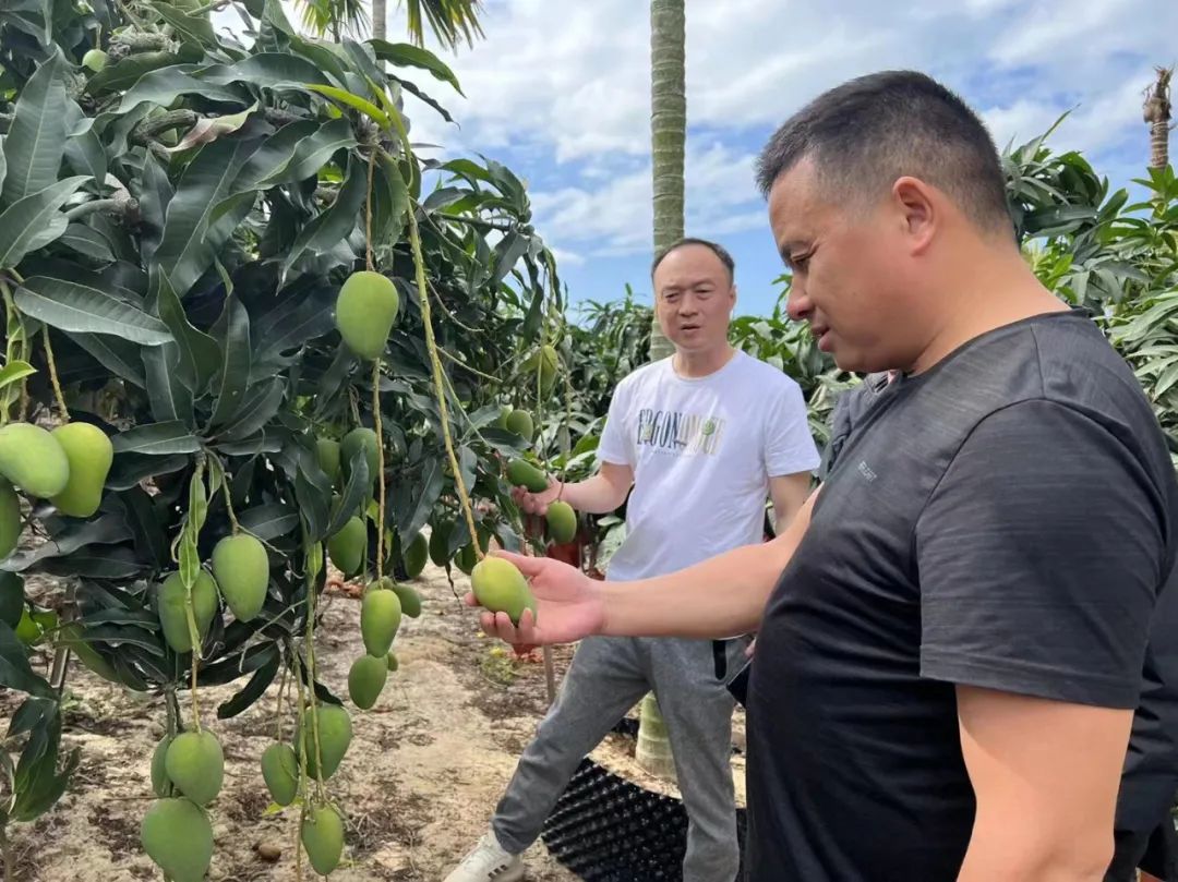 尊龙时凯·(中国)人生就是搏!