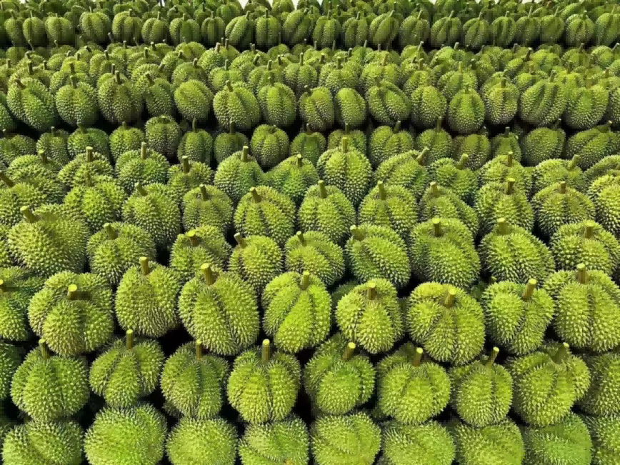 尊龙时凯·(中国)人生就是搏!