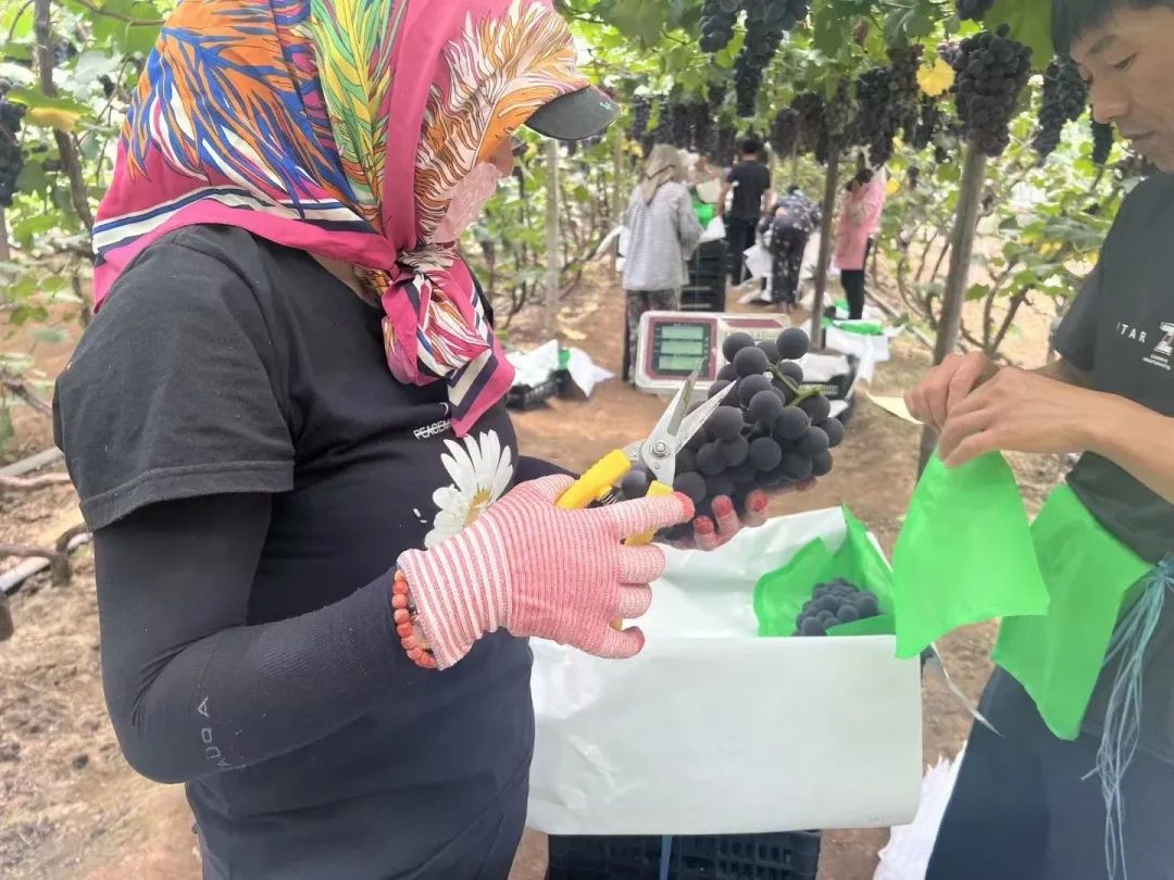 尊龙时凯·(中国)人生就是搏!