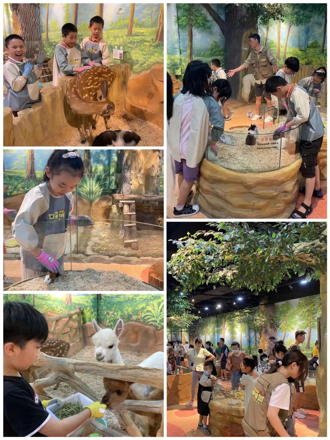 尊龙时凯·(中国)人生就是搏!