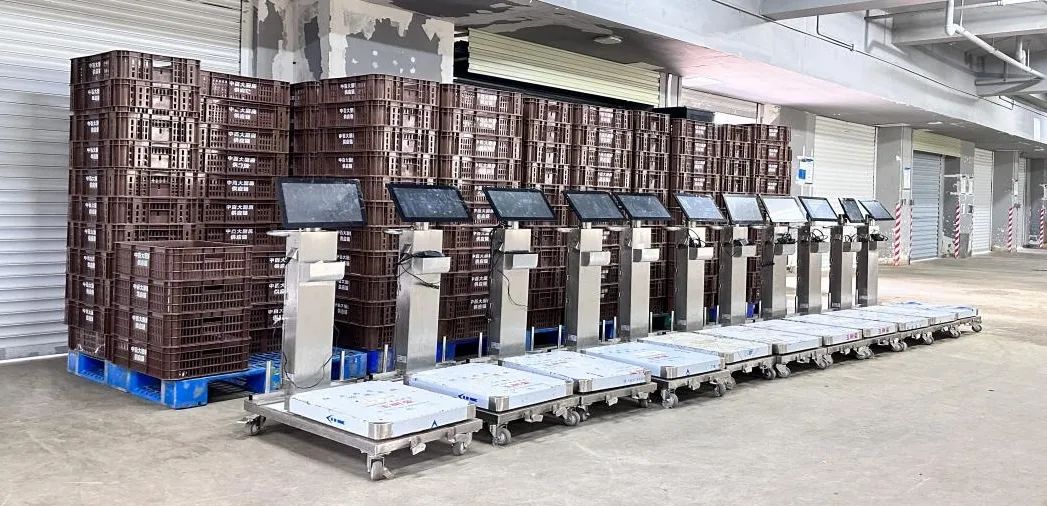 ×ðÁúʱ¿¡¤(Öйú)ÈËÉú¾ÍÊDz«!