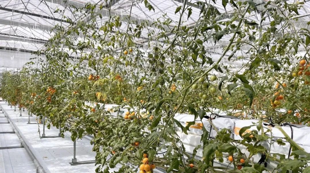 尊龙时凯·(中国)人生就是搏!