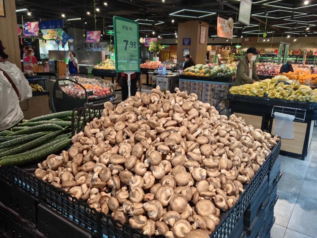 尊龙时凯·(中国)人生就是搏!