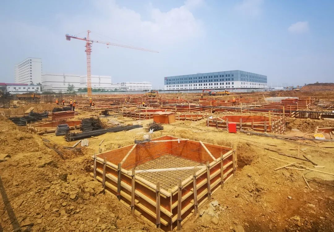 ×ðÁúʱ¿¡¤(Öйú)ÈËÉú¾ÍÊDz«!