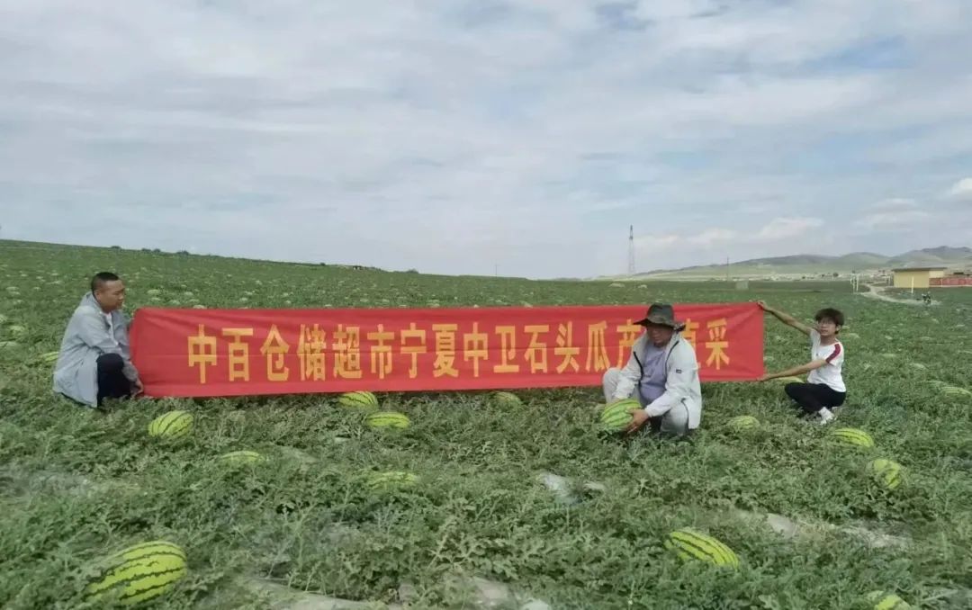 ×ðÁúʱ¿¡¤(Öйú)ÈËÉú¾ÍÊDz«!